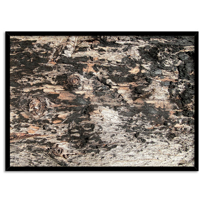 Gumtree | Burnt Ironbark - Art Print, Poster, Stretched Canvas, or Framed Wall Art Print, shown in a black frame