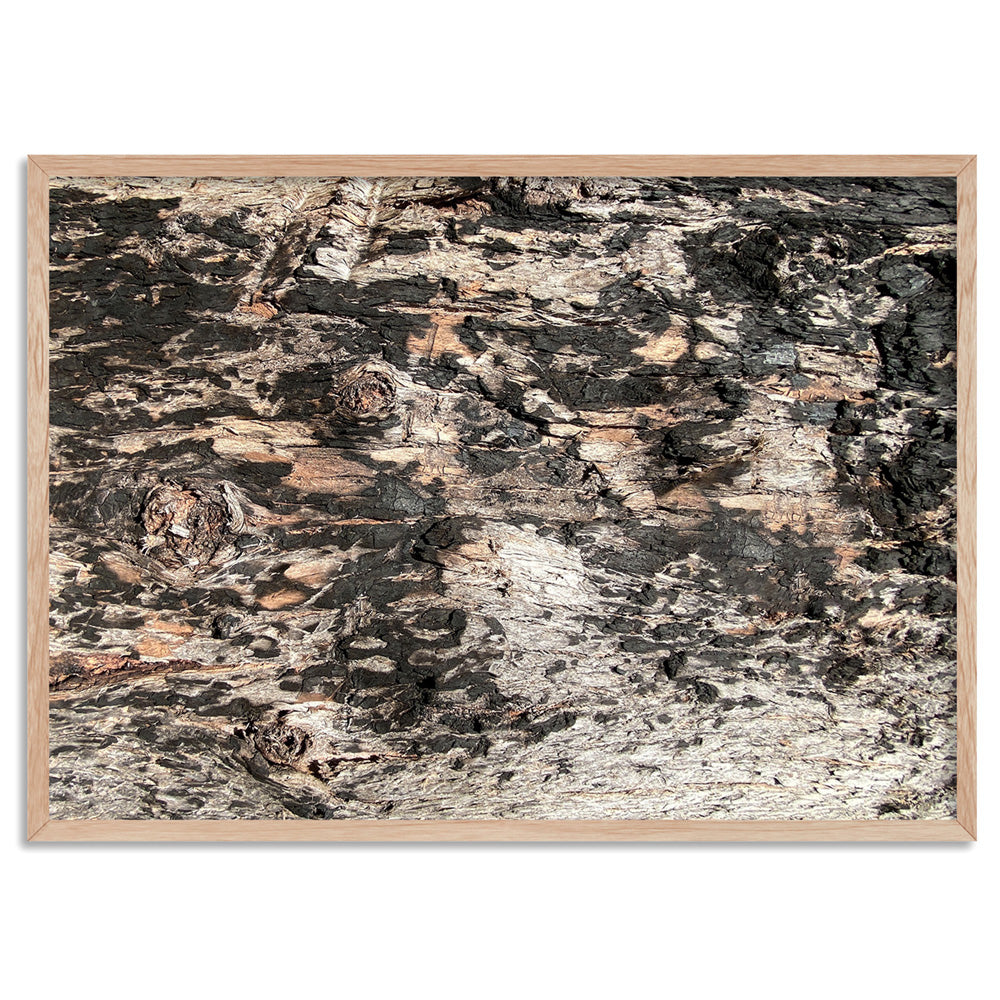Gumtree | Burnt Ironbark - Art Print, Poster, Stretched Canvas, or Framed Wall Art Print, shown in a natural timber frame