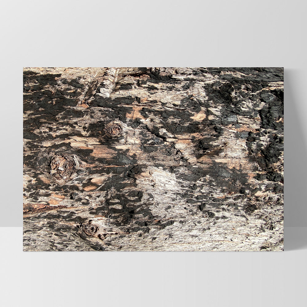 Gumtree | Burnt Ironbark - Art Print, Poster, Stretched Canvas, or Framed Wall Art Print, shown as a stretched canvas or poster without a frame