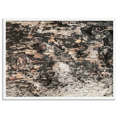 Gumtree | Burnt Ironbark - Art Print, Poster, Stretched Canvas, or Framed Wall Art Print, shown in a white frame