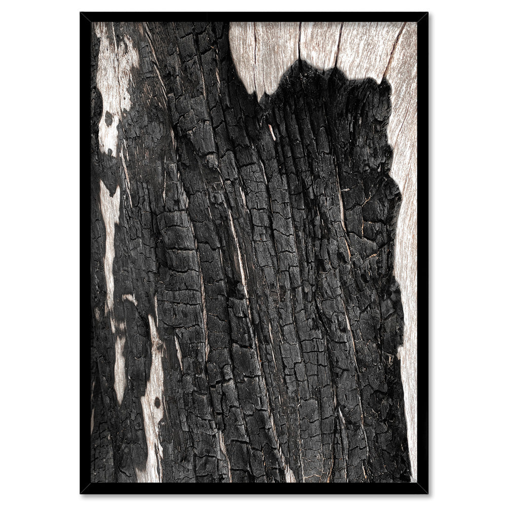 Gumtree | Charred Eucalypt I - Art Print, Poster, Stretched Canvas, or Framed Wall Art Print, shown in a black frame
