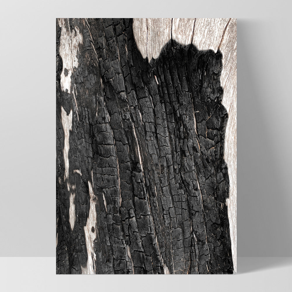 Gumtree | Charred Eucalypt I - Art Print, Poster, Stretched Canvas, or Framed Wall Art Print, shown as a stretched canvas or poster without a frame