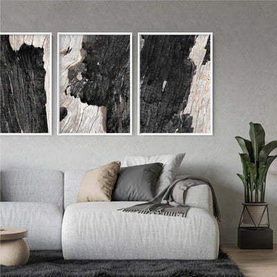 Gumtree | Charred Eucalypt I - Art Print, Poster, Stretched Canvas or Framed Wall Art, shown framed in a home interior space