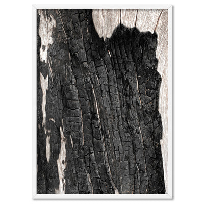 Gumtree | Charred Eucalypt I - Art Print, Poster, Stretched Canvas, or Framed Wall Art Print, shown in a white frame