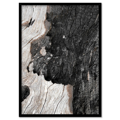 Gumtree | Charred Eucalypt II - Art Print, Poster, Stretched Canvas, or Framed Wall Art Print, shown in a black frame