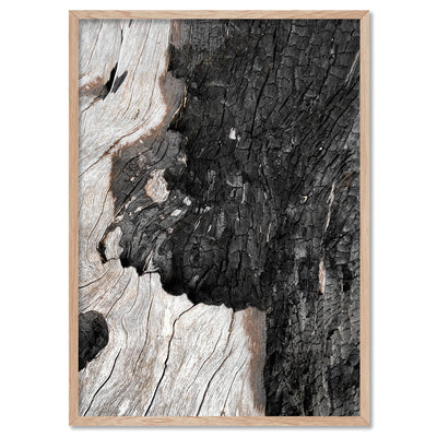 Gumtree | Charred Eucalypt II - Art Print, Poster, Stretched Canvas, or Framed Wall Art Print, shown in a natural timber frame