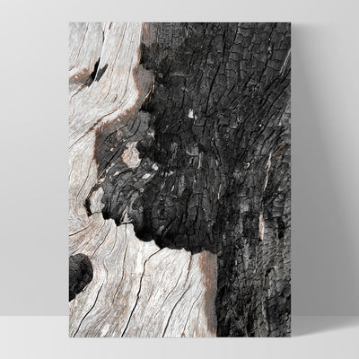 Gumtree | Charred Eucalypt II - Art Print, Poster, Stretched Canvas, or Framed Wall Art Print, shown as a stretched canvas or poster without a frame
