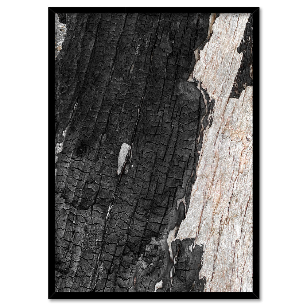 Gumtree | Charred Eucalypt III - Art Print, Poster, Stretched Canvas, or Framed Wall Art Print, shown in a black frame