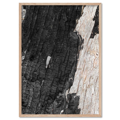 Gumtree | Charred Eucalypt III - Art Print, Poster, Stretched Canvas, or Framed Wall Art Print, shown in a natural timber frame