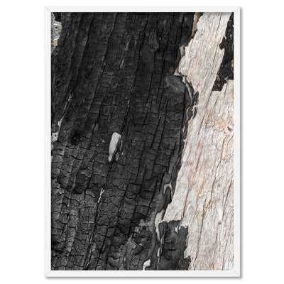 Gumtree | Charred Eucalypt III - Art Print, Poster, Stretched Canvas, or Framed Wall Art Print, shown in a white frame