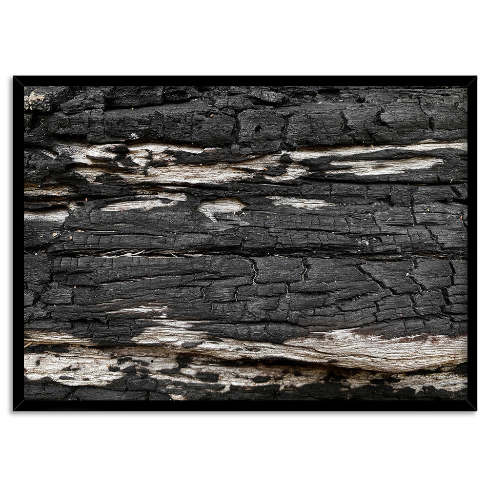 Gumtree | Charred Eucalypt IV - Art Print, Poster, Stretched Canvas, or Framed Wall Art Print, shown in a black frame
