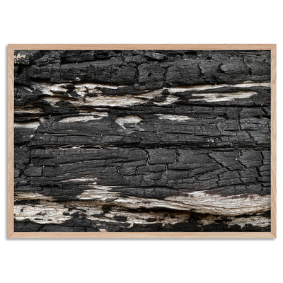 Gumtree | Charred Eucalypt IV - Art Print, Poster, Stretched Canvas, or Framed Wall Art Print, shown in a natural timber frame