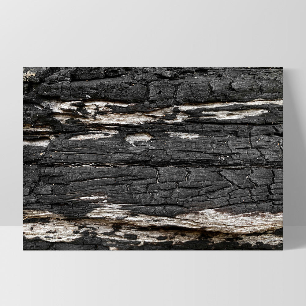 Gumtree | Charred Eucalypt IV - Art Print, Poster, Stretched Canvas, or Framed Wall Art Print, shown as a stretched canvas or poster without a frame