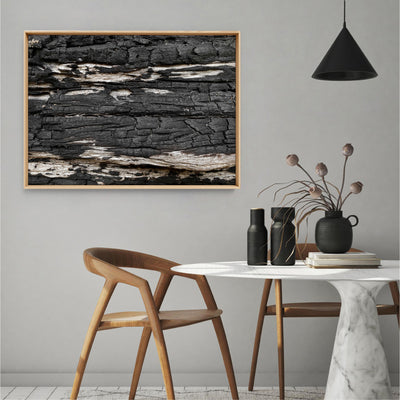Gumtree | Charred Eucalypt IV - Art Print, Poster, Stretched Canvas or Framed Wall Art Prints, shown framed in a room