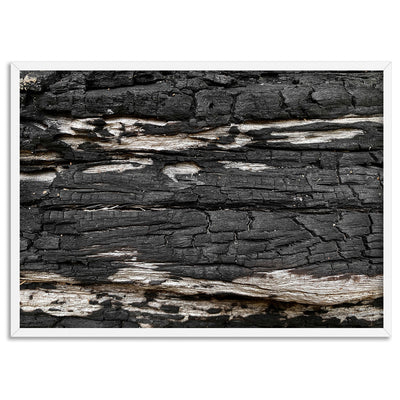 Gumtree | Charred Eucalypt IV - Art Print, Poster, Stretched Canvas, or Framed Wall Art Print, shown in a white frame