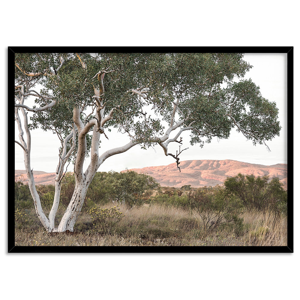 Gumtree Outback Landscape I - Art Print, Poster, Stretched Canvas, or Framed Wall Art Print, shown in a black frame