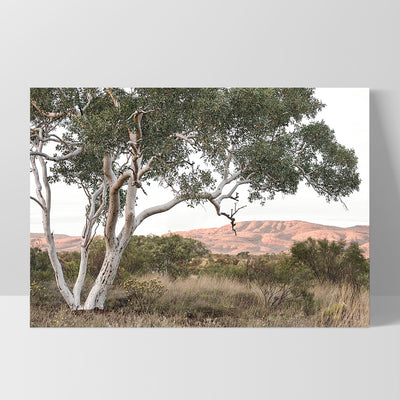 Gumtree Outback Landscape I - Art Print, Poster, Stretched Canvas, or Framed Wall Art Print, shown as a stretched canvas or poster without a frame