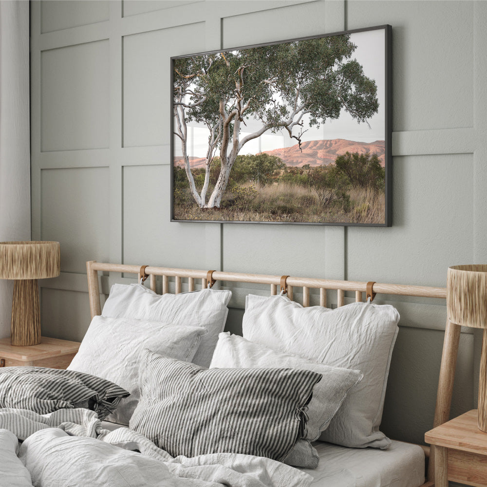 Gumtree Outback Landscape I - Art Print, Poster, Stretched Canvas or Framed Wall Art, shown framed in a home interior space