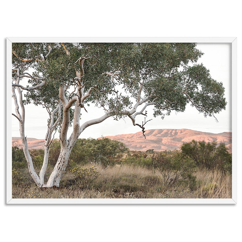 Gumtree Outback Landscape I - Art Print, Poster, Stretched Canvas, or Framed Wall Art Print, shown in a white frame