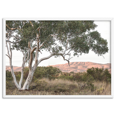 Gumtree Outback Landscape I - Art Print, Poster, Stretched Canvas, or Framed Wall Art Print, shown in a white frame