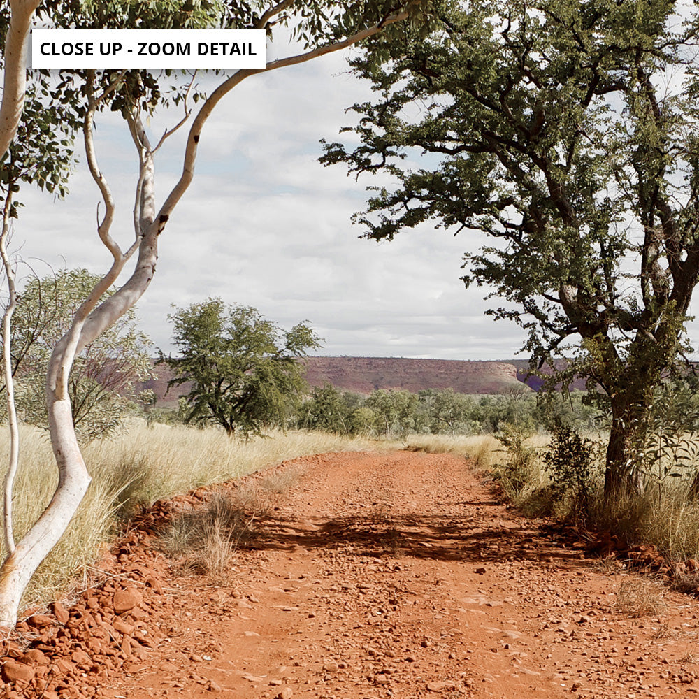 Gumtree Outback Road - Art Print, Poster, Stretched Canvas or Framed Wall Art, Close up View of Print Resolution