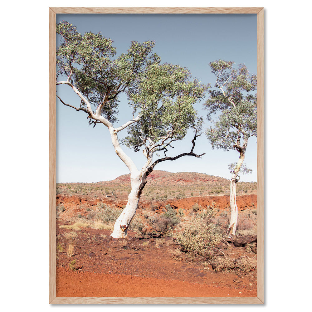 Gumtree Outback View III - Art Print, Poster, Stretched Canvas, or Framed Wall Art Print, shown in a natural timber frame