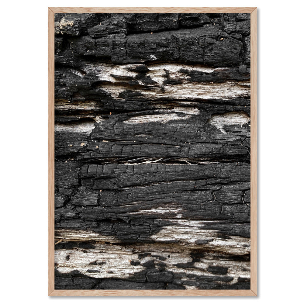Gumtree | Charred Eucalypt V - Art Print, Poster, Stretched Canvas, or Framed Wall Art Print, shown in a natural timber frame