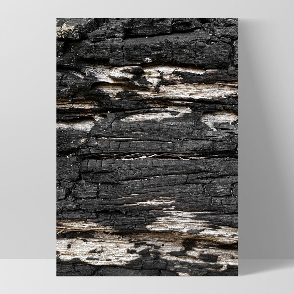 Gumtree | Charred Eucalypt V - Art Print, Poster, Stretched Canvas, or Framed Wall Art Print, shown as a stretched canvas or poster without a frame