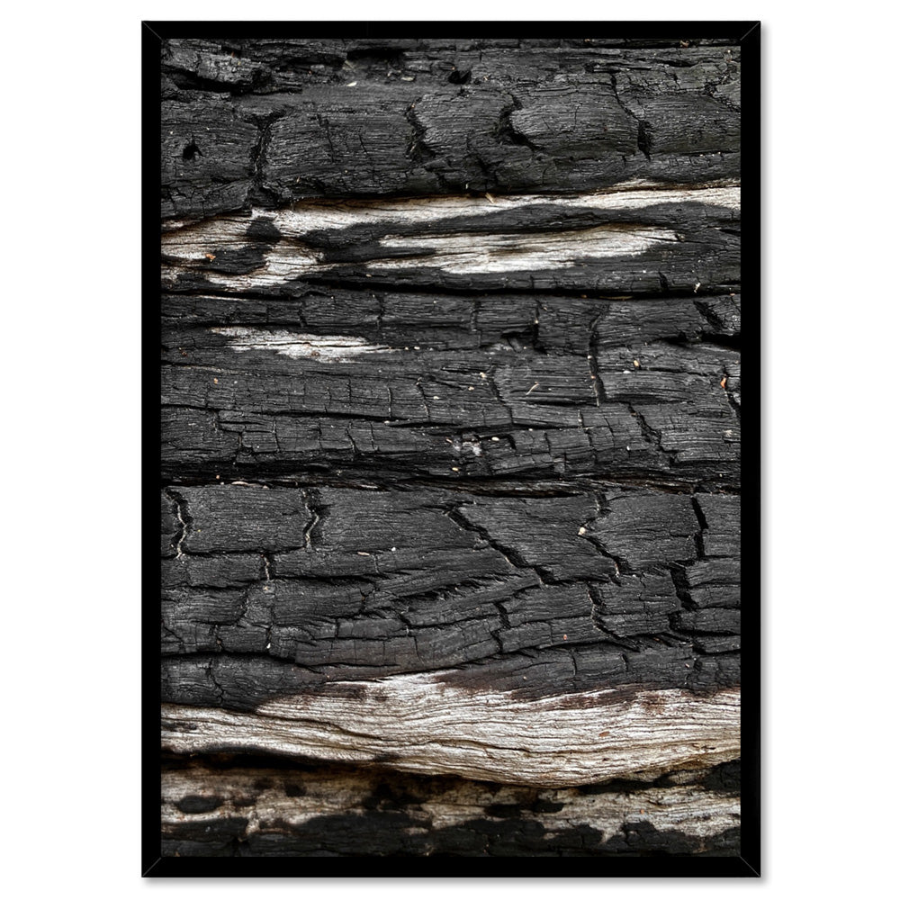 Gumtree | Charred Eucalypt VI - Art Print, Poster, Stretched Canvas, or Framed Wall Art Print, shown in a black frame