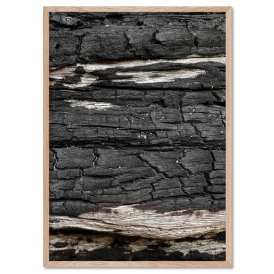 Gumtree | Charred Eucalypt VI - Art Print, Poster, Stretched Canvas, or Framed Wall Art Print, shown in a natural timber frame