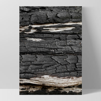 Gumtree | Charred Eucalypt VI - Art Print, Poster, Stretched Canvas, or Framed Wall Art Print, shown as a stretched canvas or poster without a frame