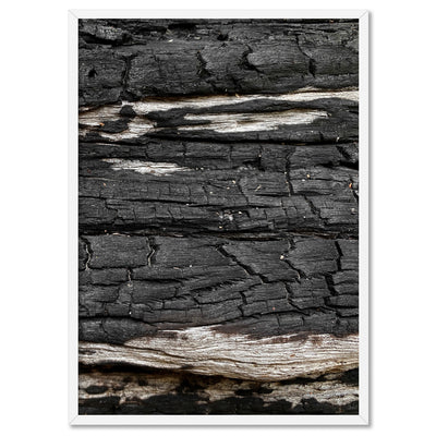 Gumtree | Charred Eucalypt VI - Art Print, Poster, Stretched Canvas, or Framed Wall Art Print, shown in a white frame