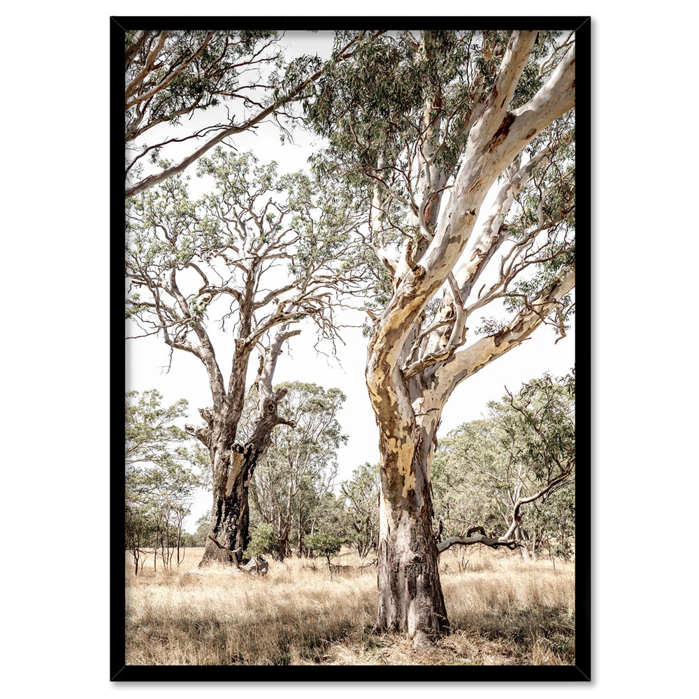 Among the Gumtrees III - Art Print, Poster, Stretched Canvas, or Framed Wall Art Print, shown in a black frame