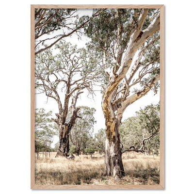 Among the Gumtrees III - Art Print, Poster, Stretched Canvas, or Framed Wall Art Print, shown in a natural timber frame
