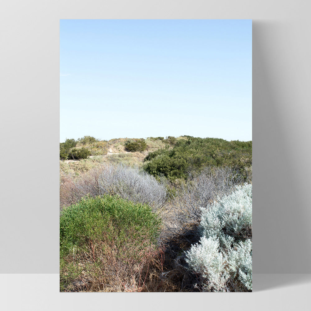 Sand Dune Botanicals Perth II - Art Print, Poster, Stretched Canvas, or Framed Wall Art Print, shown as a stretched canvas or poster without a frame