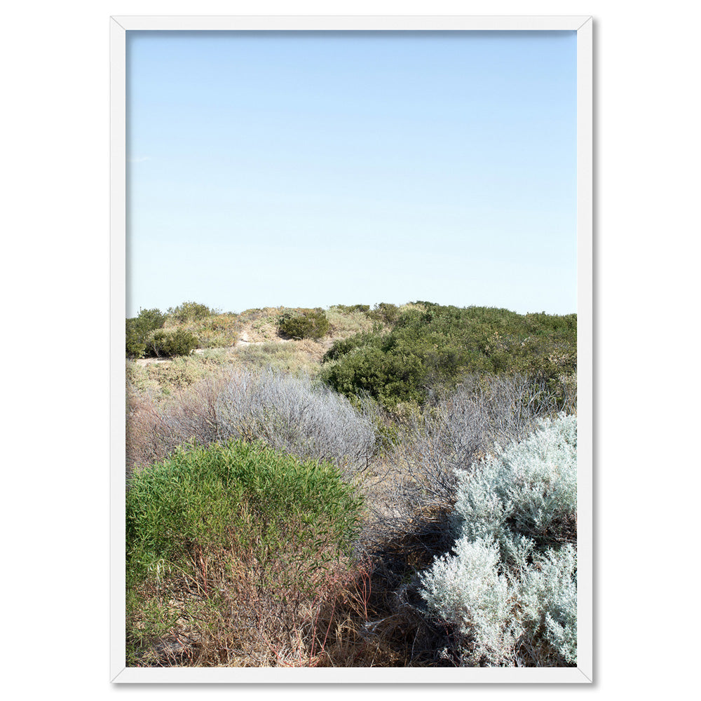 Sand Dune Botanicals Perth II - Art Print, Poster, Stretched Canvas, or Framed Wall Art Print, shown in a white frame