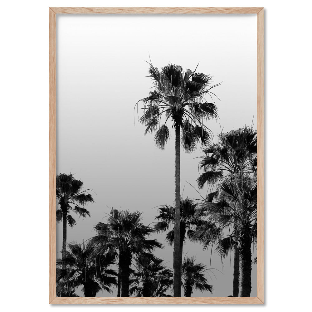 California Tropical Palms Black & White - Art Print, Poster, Stretched Canvas, or Framed Wall Art Print, shown in a natural timber frame