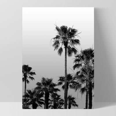 California Tropical Palms Black & White - Art Print, Poster, Stretched Canvas, or Framed Wall Art Print, shown as a stretched canvas or poster without a frame