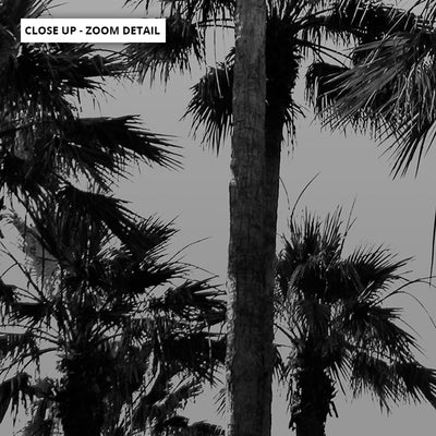 California Tropical Palms Black & White - Art Print, Poster, Stretched Canvas or Framed Wall Art, Close up View of Print Resolution