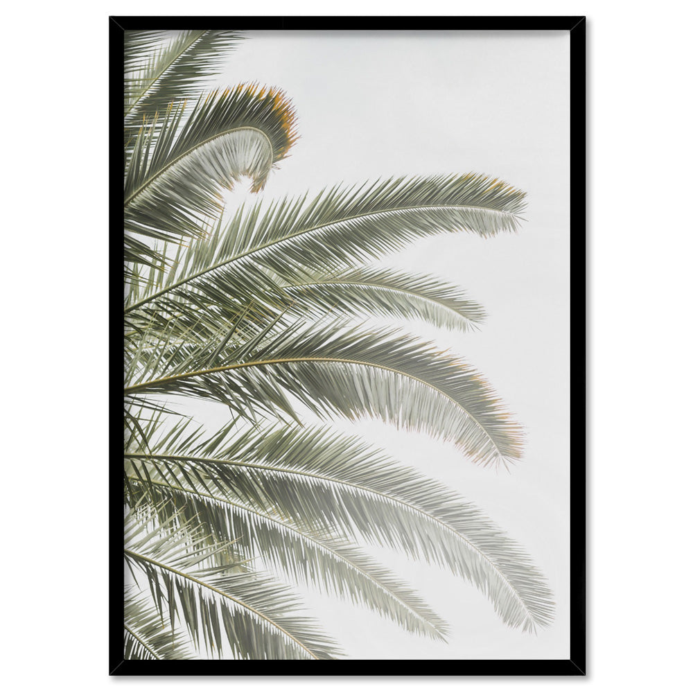 Palm fronds catching the sun - Art Print, Poster, Stretched Canvas, or Framed Wall Art Print, shown in a black frame