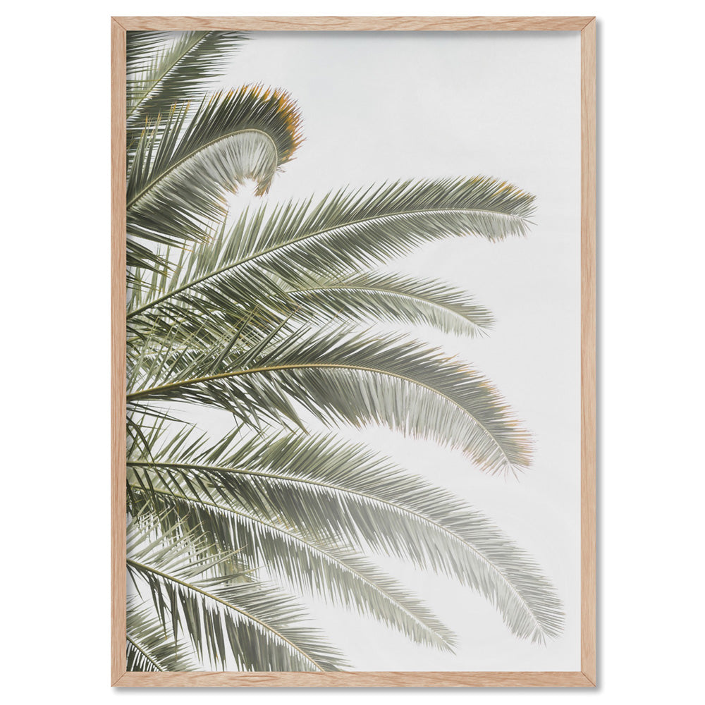 Palm fronds catching the sun - Art Print, Poster, Stretched Canvas, or Framed Wall Art Print, shown in a natural timber frame