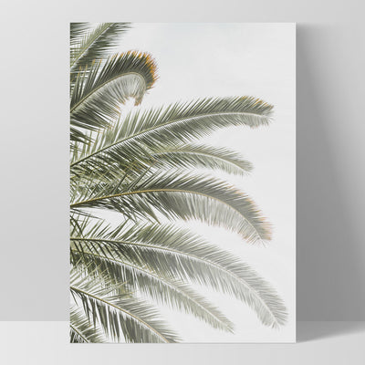Palm fronds catching the sun - Art Print, Poster, Stretched Canvas, or Framed Wall Art Print, shown as a stretched canvas or poster without a frame