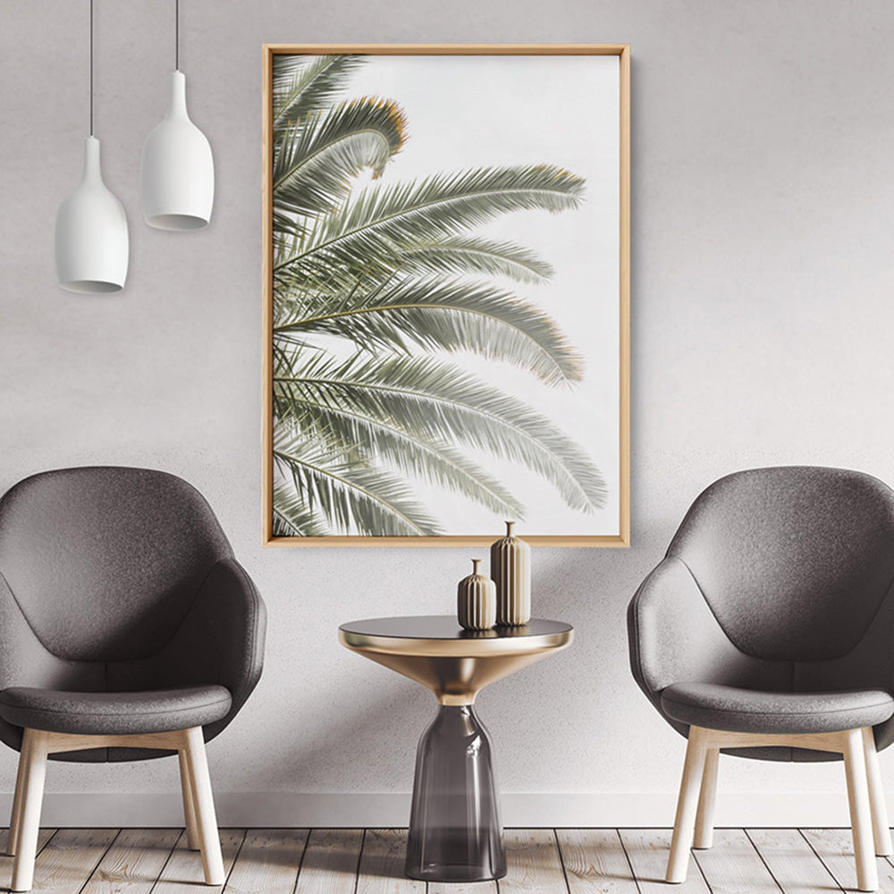 Palm fronds catching the sun - Art Print, Poster, Stretched Canvas or Framed Wall Art, shown framed in a room