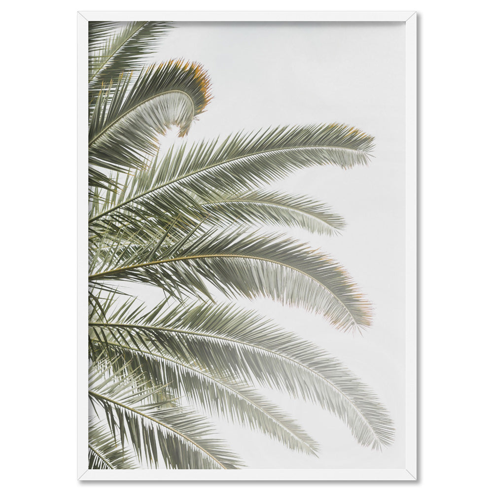Palm fronds catching the sun - Art Print, Poster, Stretched Canvas, or Framed Wall Art Print, shown in a white frame