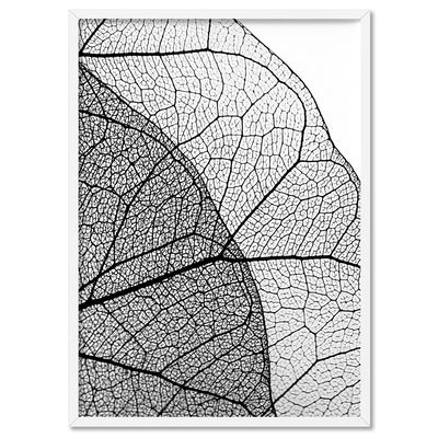 Leafy Veins in Monochrome - Art Print, Poster, Stretched Canvas, or Framed Wall Art Print, shown in a white frame