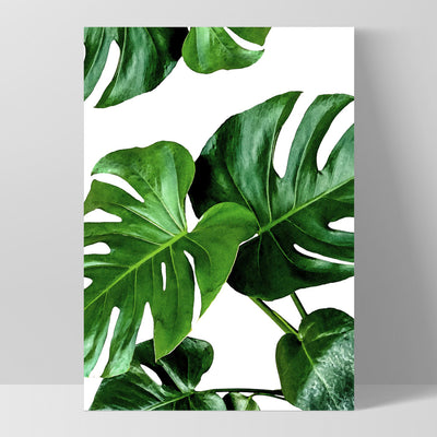 Monstera Leaves - Art Print, Poster, Stretched Canvas, or Framed Wall Art Print, shown as a stretched canvas or poster without a frame