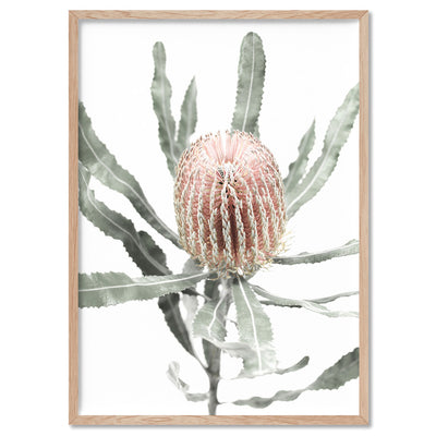 Banksia Pastels I - Art Print, Poster, Stretched Canvas, or Framed Wall Art Print, shown in a natural timber frame