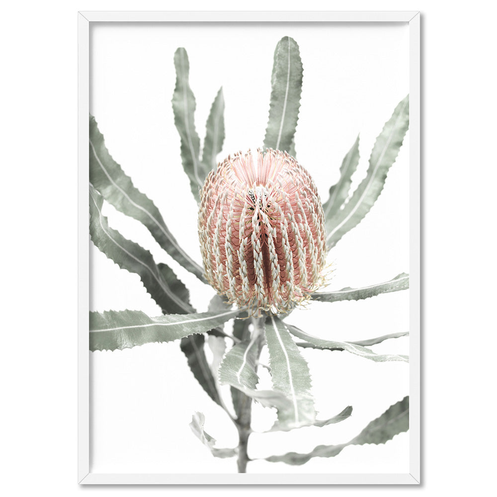 Banksia Pastels I - Art Print, Poster, Stretched Canvas, or Framed Wall Art Print, shown in a white frame