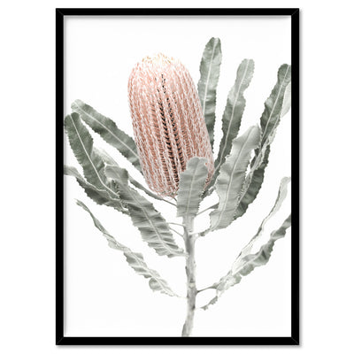 Banksia Pastels II - Art Print, Poster, Stretched Canvas, or Framed Wall Art Print, shown in a black frame