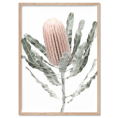 Banksia Pastels II - Art Print, Poster, Stretched Canvas, or Framed Wall Art Print, shown in a natural timber frame